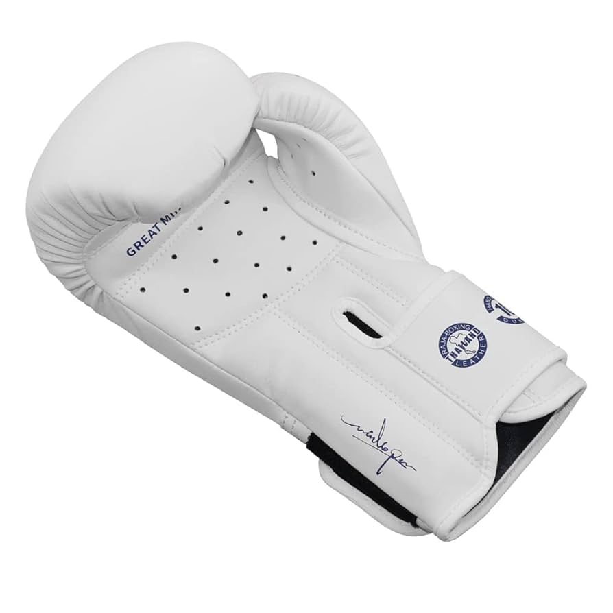 ボクシンググローブ 12オンス ハイブリッド80 ボクシンググローブ 12オンス ブラック